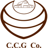 chichestgroup.com favicon